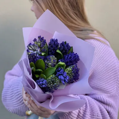 Гиацинт 1 Луковица (Hyacinthus)