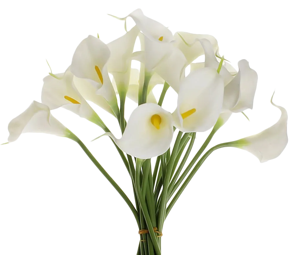 Каллы букет. Букет "белые каллы". Цветы - белокрыльник (White Calla Lily). Калла Вайт Сван.