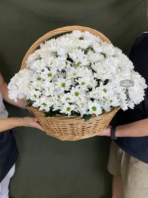 Букет цветов «Праздник хризантем» заказать с доставкой по цене 8 080 руб. в  Севастополе
