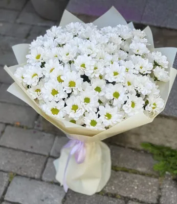 Купить Цветы в коробке 15 веток белой хризантемы | VIAFLOR