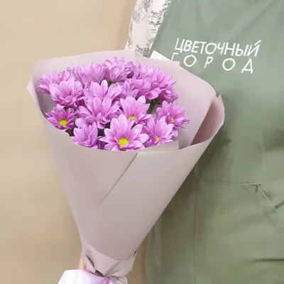 Хризантема фиолетовая кустовая купить в салоне цветов Cats, СПб