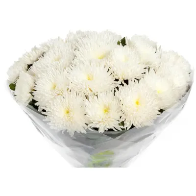 Корзина цветов «Хризантемы и статица» заказать с доставкой в Краснодаре по  цене 5 950 руб.