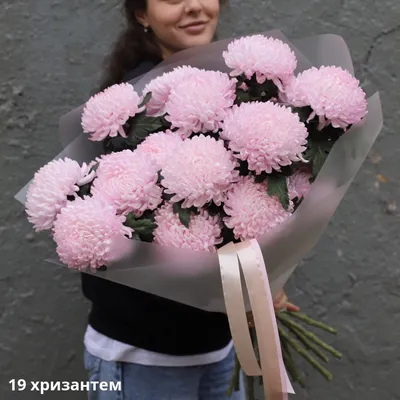 Шалости садовода: сортовые хризантемы, шарики краспедии и другие цветы по  цене 6036 ₽ - купить в RoseMarkt с доставкой по Санкт-Петербургу
