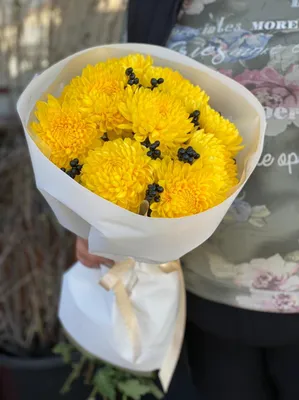 Купить Букет цветов Хризантемы цвет оранжевый 7 бутонов ,75см - SPirk.ru