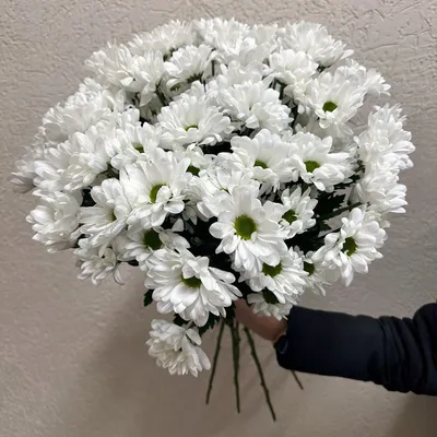 29 кустовых хризантем в букете за 9 090 руб. | Бесплатная доставка цветов  по Москве