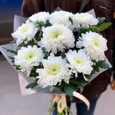 Белые хризантемы 11 шт. купить за 2200 руб. в Пензе с доставкой
