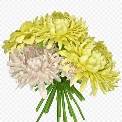 букет цветов стильный хризантемы: 25 тыс изображений найдено в  Яндекс.Картинках | Доставка цветов, Хризантемы, Букет хризантем