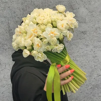Букет нарциссов - лучшие букеты с доставкой Рига и вся Латвия. Теперь  заказать цветы с доставкой по Риге можно быстро и удобно