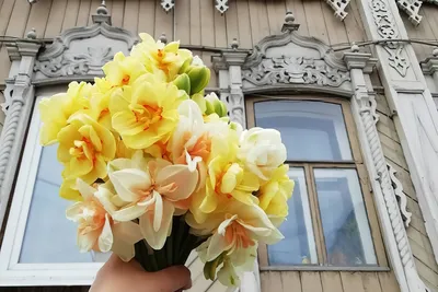1️⃣ Букет из нарциссов – заказать в Алматы от PRO-BUKET!