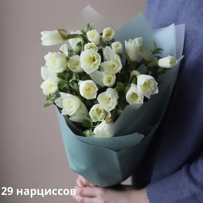 Нарцисс. Описание цветка с фото. Расскажем как подарить нарциссы в букете и  что будет значить букет