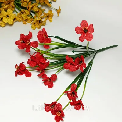 Красивый Polyanthus Primula цветов первоцветов весны или постоянного  первоцвета в магазине сада в весеннее время. Стоковое Фото - изображение  насчитывающей лепесток, греция: 171302992