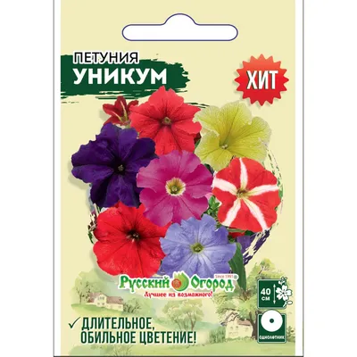 Семена цветов Петуния розовая 0,1 грамм (ID#892592397), цена: 5 ₴, купить  на Prom.ua