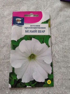 Семена цветов Петуния 'Ягодный коктейль', смесь окрасок, О, 0,1 г в Бишкеке  купить по ☝доступной цене в Кыргызстане ▶️ max.kg