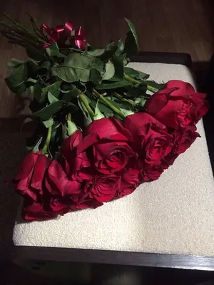 Пин от пользователя aya на доске love | Красные розы, Букет цветов, Розы
