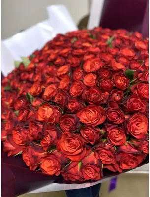 Заказать розы на дом с бесплатной доставкой 24/7 в Москве