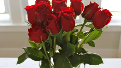 Купить 11 кустовых нежно-розовых роз в упаковке в Красноярске! Дом Цветов