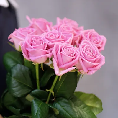 Букет 9 кустовых роз розовых по недорогой цене 2 160 руб. купить в  Белгороде. Доставка по России-интернет - магазин Дом цветов