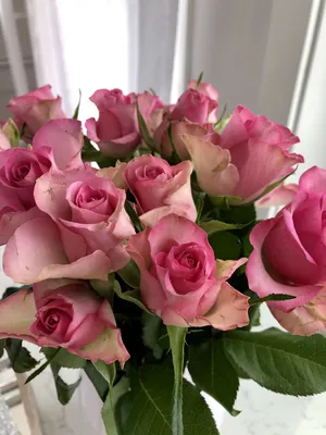 Искусственные цветы розы, букет из шелка, 6 цветов для гостиной, дома,  сада, свадьбы, рождественские украшения, аксессуары «сделай сам»,  искусственные цветы | AliExpress