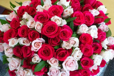 Фото: Дом Роз, магазин цветов, 26, 4-й микрорайон, Лисаковск — Яндекс Карты