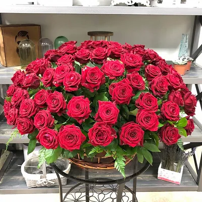 Корзина красных роз сорт Гран-При - купить 101 розу с доставкой по Днепру  (Днепропетровску) - Royal-flowers