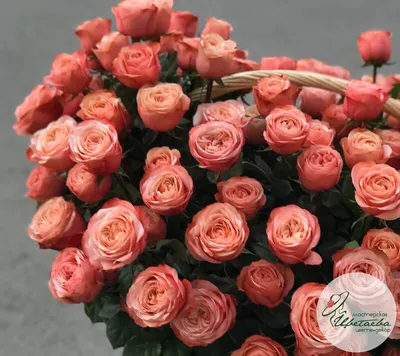 1️⃣ Корзина красных роз – заказать с доставкой Алматы | Pro-buket