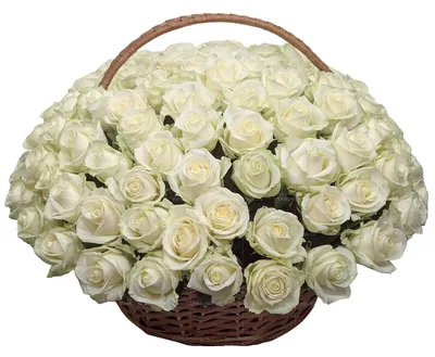 Купить букет из 119 роз в корзине с доставкой в Краснодаре