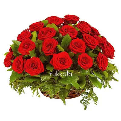 Ритуальная корзина из живых цветов 100 белых роз от 15 100 руб - купить по  выгодной цене в Москве