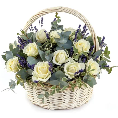 250 роз в корзине Dakota flora | Доставка цветов по Москве |  Интернет-магазин цветов dakotaflora.com