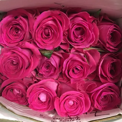 Букет из лососевых роз - заказать доставку цветов в Москве от Leto Flowers