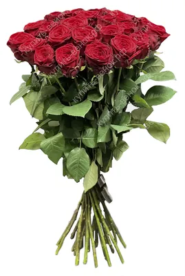 101 роза \"Belle Rose\". Букет из 101 розы 40 см. Купить цветы