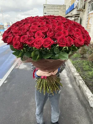Какого цвета бывают розы? Какого цвета выбрать розы? | Во Имя Розы
