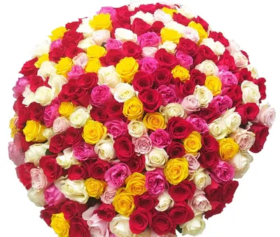 Купить трехцветный букет из 101 розы с доставкой в Днепре от Royal-Flowers