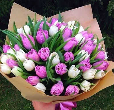 Букет цветов Тюльпаны и розы 💐 заказать в Москве с доставкой по цене 6 090  ₽ | Флористическое кафе VioletFlowers 🌷