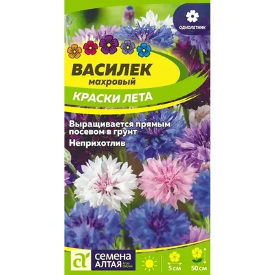 Васильки, охапка цветов, нежные, …» — создано в Шедевруме