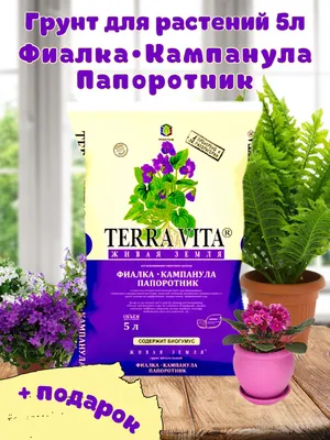 картинки : природа, лист, Зеленый, Трава, производить, ботаника, Флора,  Дикий цветок, бутон, Макросъемка, цветущее растение, Однолетнее растение,  Стебель растения, Наземный завод, Папоротник и хвощ, Сосудистое растение, Папоротник  папоротника 1536x2048 ...