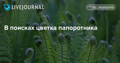 Лист папоротника искусственный, 70 см купить по цене 80 грн | Украфлора