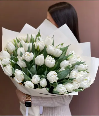 Фото цветы тюльпаны букет фотографии