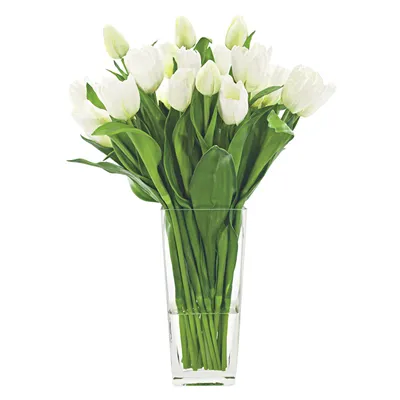 Букет из тюльпанов Дример в вазе - заказать доставку цветов в Москве от  Leto Flowers