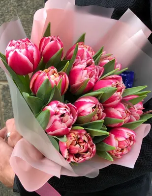 Bouquet of tulips,Букет тюльпанов | Красивые цветы, Цветы, Цветоводство