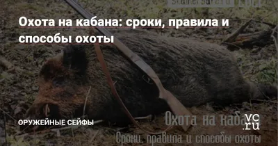 Клуб любителей хрюш - Свиньи-рекордсмены Обычно, огромными размерами  отличаются домашние хрюшки. Но и в дикой природе иногда встречаются  довольно крупные экземпляры. Дикие кабаны – очень опасные и агрессивные  животные. Могут достигать веса