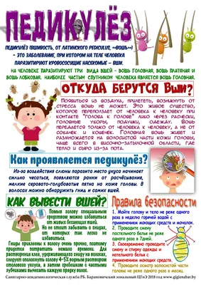 Средства от укусов насекомых для детей: список самых эффективных - Звездочка