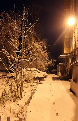 suharjk - Ночные улицы и так красивые😍А тут, они еще и в... | Facebook