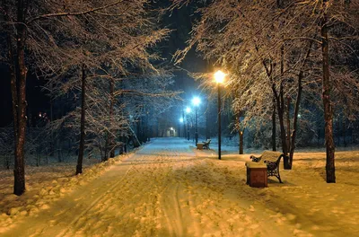 Ночь. Улица. Фонарь | Пикабу