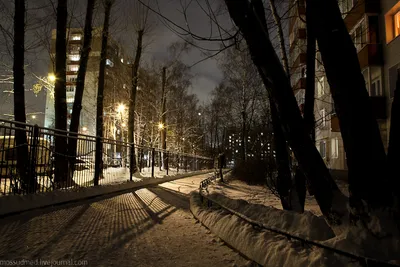 Почему ночью, когда лежит снег на улице, относительно светло. | ВКонтакте
