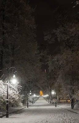 Зима,ночь, улица, фонарь, мороз :: Александр – Социальная сеть ФотоКто