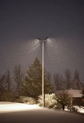 Ночь,улица,фонарь,зима,подснежники... :: Сергей F – Социальная сеть ФотоКто