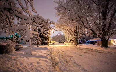 Зима, ноча в городе зимы, город зимы, зима в парке, снег Стоковое  Изображение - изображение насчитывающей пуща, напольно: 120094749