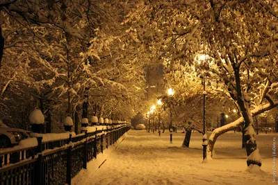 Русская деревня ночью зимой. Дорога, покрытая снегом, и свет из окон домов  - Ozero - российский фотосток