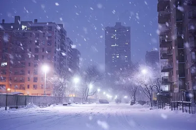 Прогулка По Городу Ночью Зимой. Аллея С Огнями, Деревьями, Гирляндами,  Покрытыми Снегом. Фотография, картинки, изображения и сток-фотография без  роялти. Image 69291122