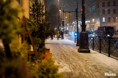 Зимняя улица ночью - фото и картинки: 87 штук